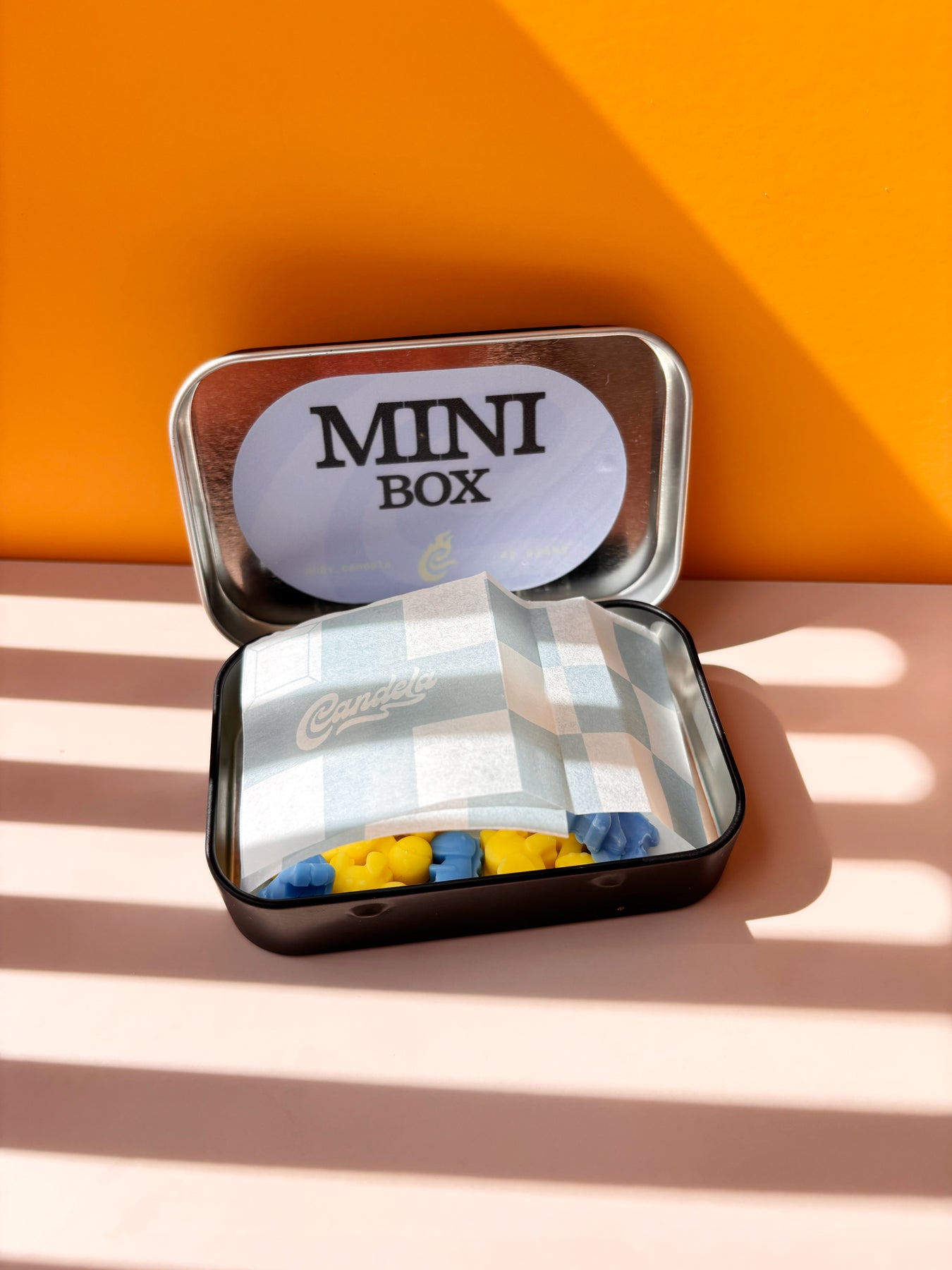 Mini Box Dinosaurios