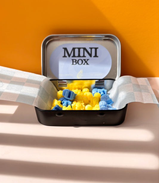 Mini Box Dinosaurios