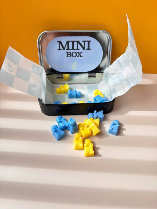 Mini Box Ositos