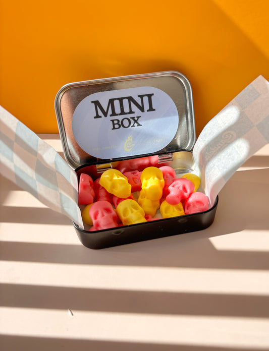 Mini Box Calaveras
